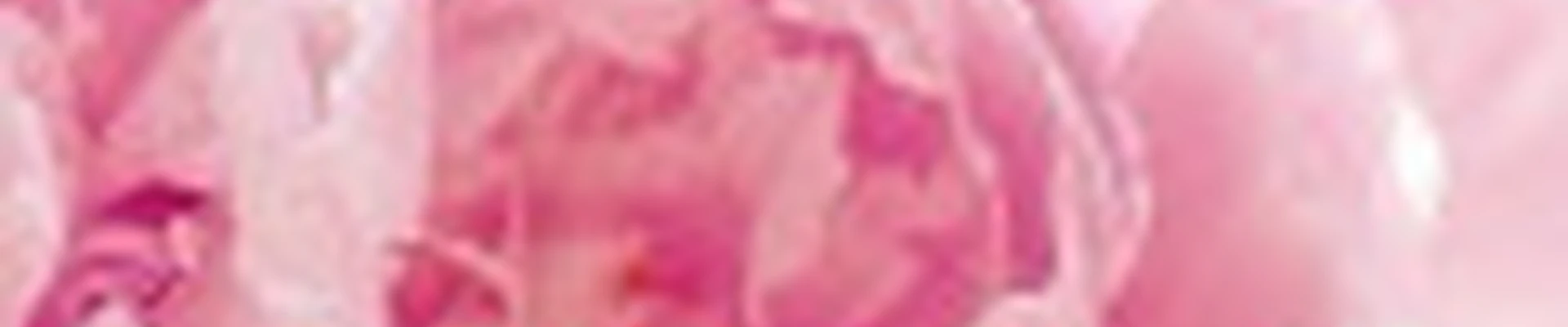 Салон красоты «Поларис»