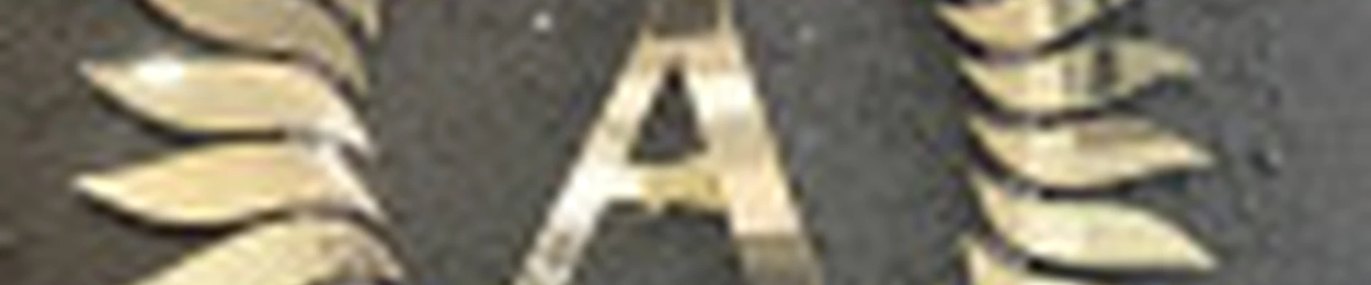 Мытищи Салон Айлин