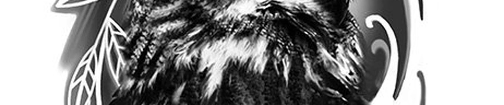 Wowtattoo в Альметьевске Республика Татарстан, Альметьевск, Радищева, 4, 1 этаж