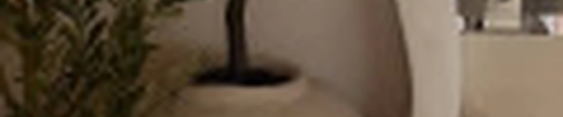 Солярий