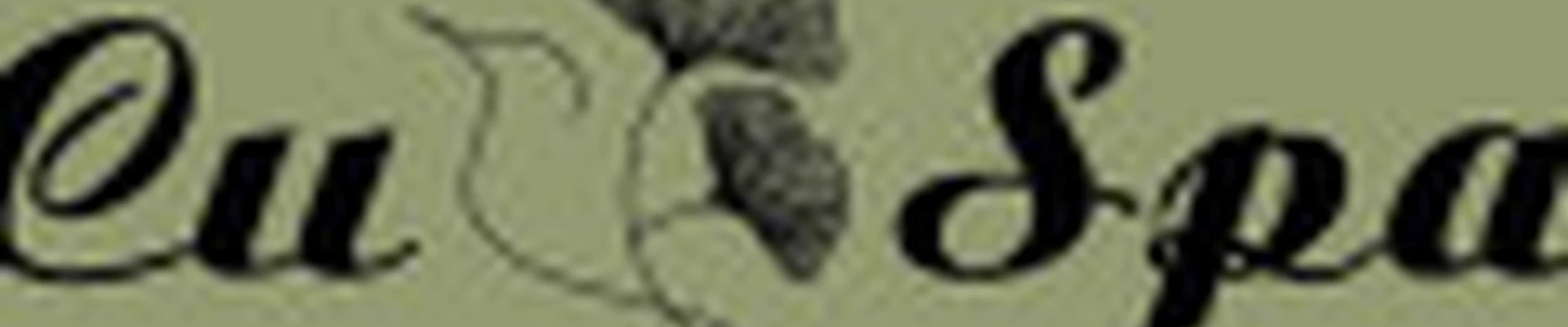 “СИ SPA” центр массажа и тотальной релаксации