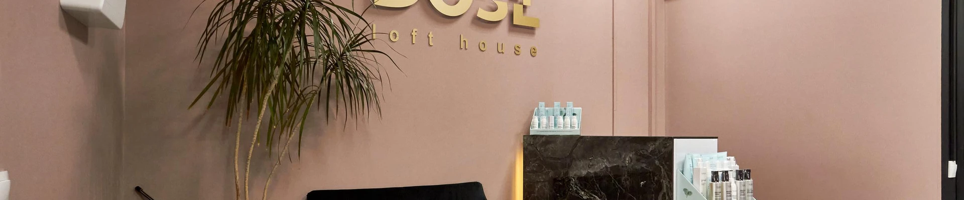 Dose loft house