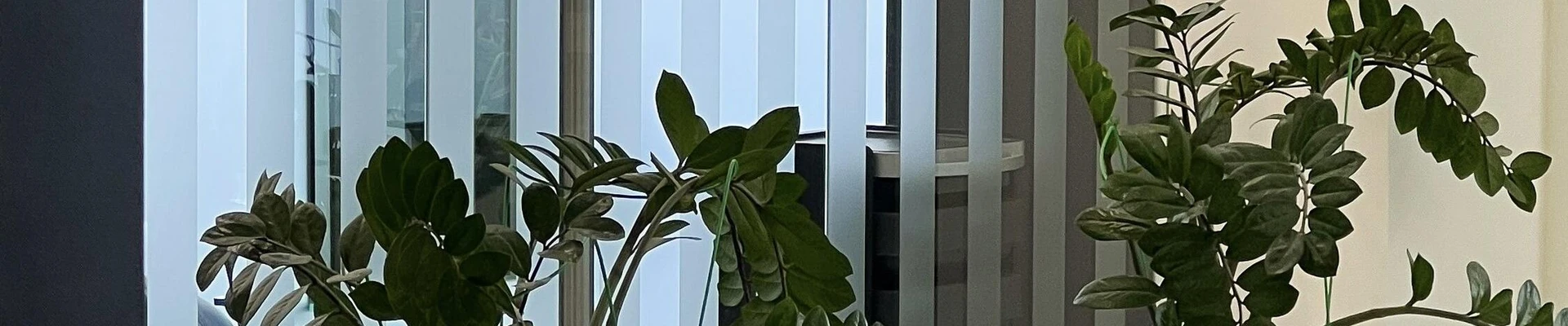 Gatineau в Волгограде Волгоградская область, Волгоград, Советская, 3, вход с торца