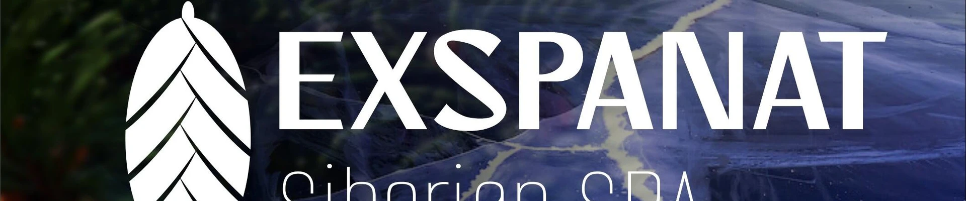 Exspanat