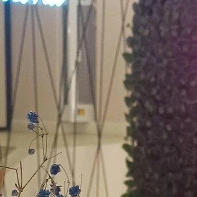 Wellness в Вологде Вологодская область, Вологда, улица Возрождения, 47, 1 помещение; цокольный этаж