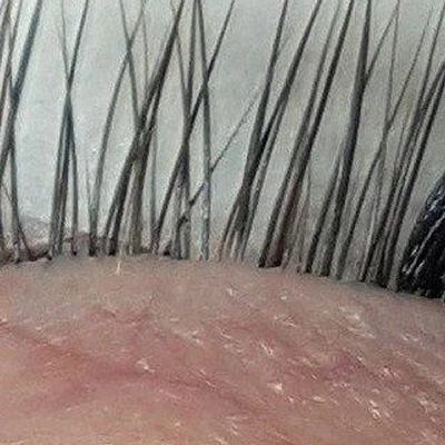 Lash&mua
