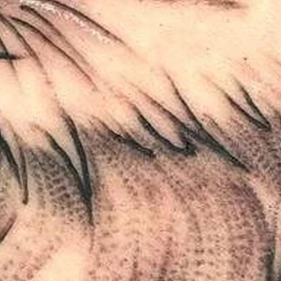 Студия перманентного макияжа и тату в Нижний новгороде Нижегородская область, Нижний Новгород, Мещерский бульвар, 9, цокольный этаж, напротив театра "Вера"