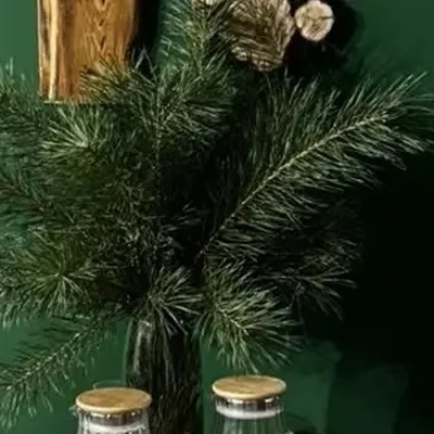 Хвоя, студия таежного СПА