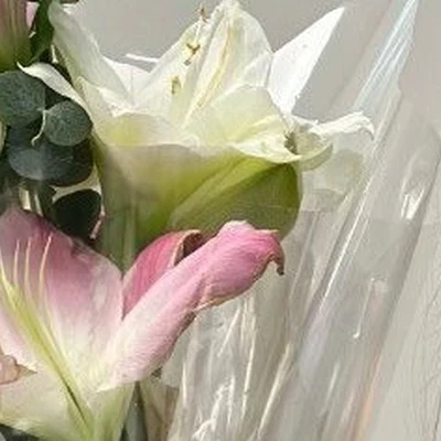 Студия маникюра и подологии Ольги Кветковской