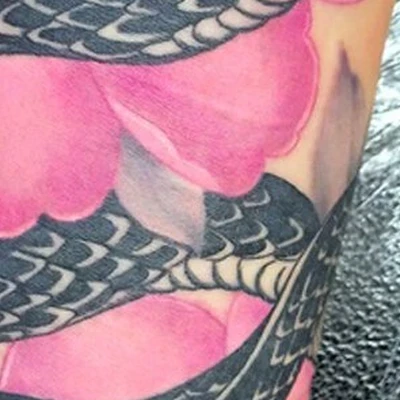 Scorpion