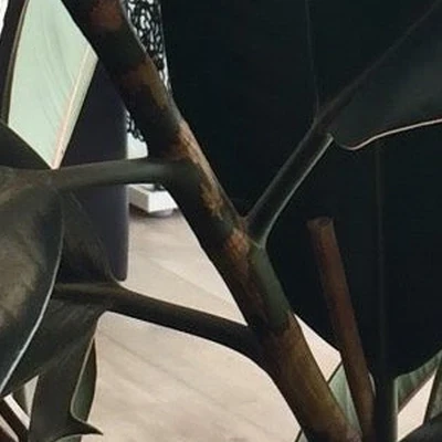 Brow bar бьюти-салон