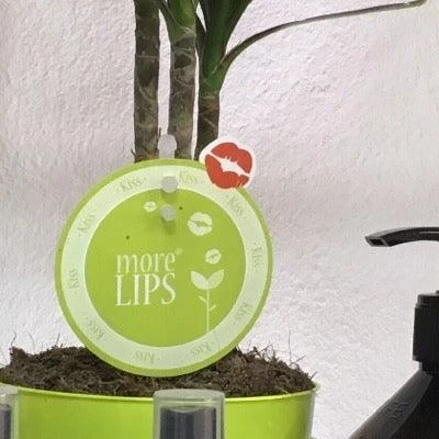 Авторская парикмахерская студия Malkov studio