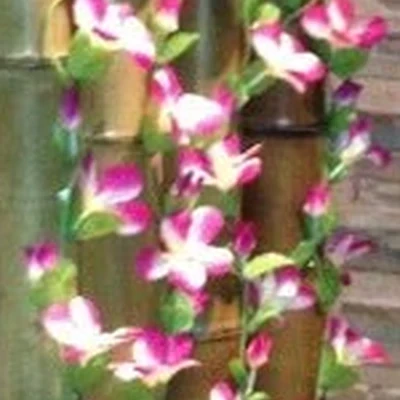 Королевство Сиам