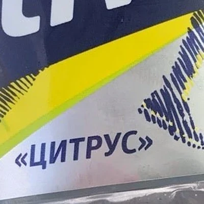 Синяя роза