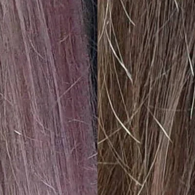 Рапсодия в Курске Курская область, Курск, проспект Вячеслава Клыкова, 8, 1 этаж