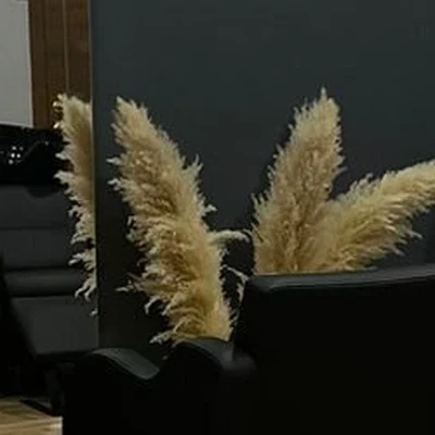 Творческая студия Ольги Адельбаевой