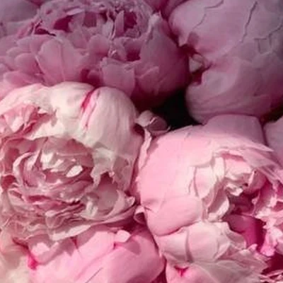 Ваш Косметье