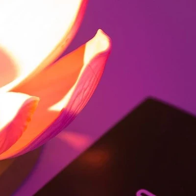 Woodoo в Владивостоке Россия, Приморский край, Владивосток, проспект 100-летия Владивостока, 22, Только по предварительной записи!