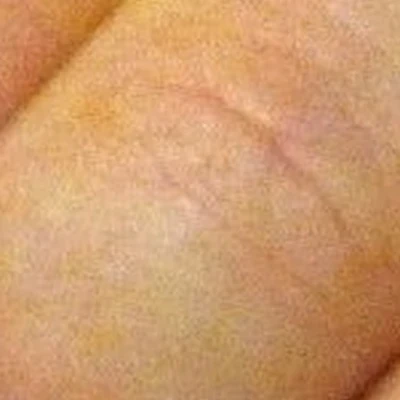 Алила в Липецке Липецк, Бунина, 13, 1 этаж