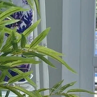 Массаж-академия