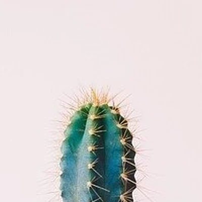 Grape в Всеволожске Ленинградская область, Всеволожск, Социалистическая, 105, 305 кабинет; 3 этаж