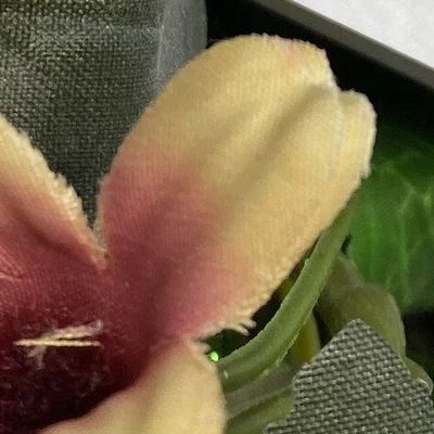 Бьюти Мастер в Омске Россия, Омск, улица 70 лет Октября, 11