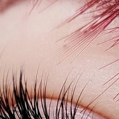 Perfect Lashes Studio