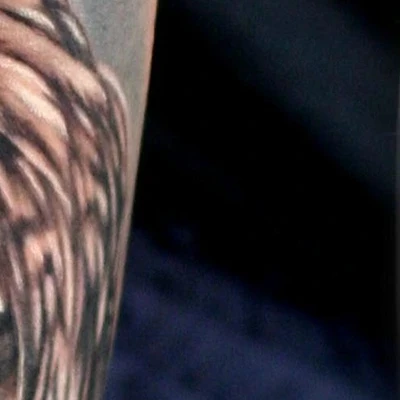 Hedgehog-tattoo в Ковровом Владимирская область, Ковров, Еловая улица, 98