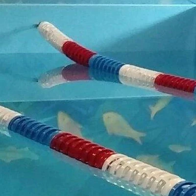 Плескандия