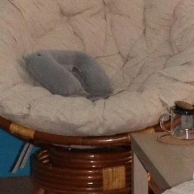 Float Studio в Орле Орловская область, Орел, улица Салтыкова-Щедрина, 19/21