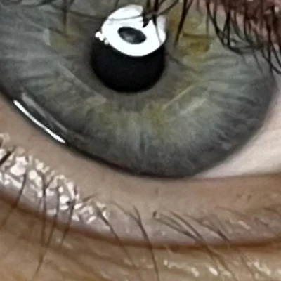 Elfa в Якутске Республика Саха (Якутия), Якутск, 203-й микрорайон, 30, вход в мастерскую Mister Darcy