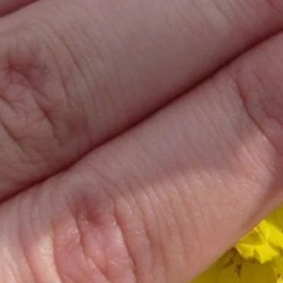 Студия Надежды Стоговой