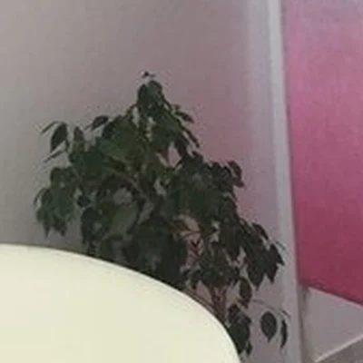 Кабинет шугаринга в Ейске, на улице Энгельса