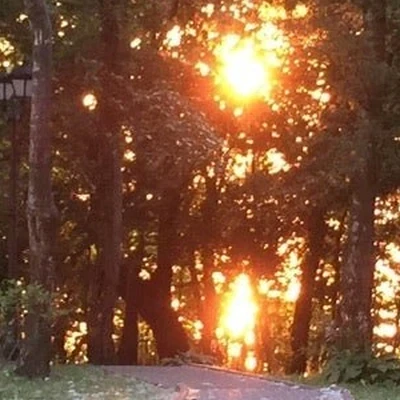 Янтарный берег