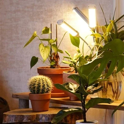 El Cabinet в Колпине Санкт-Петербург, Колпино, улица Тазаева, 9, Вход с торца со стороны Wildberries