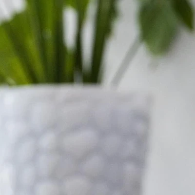 Живи кучеряво