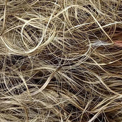 Кокетка в Котельниках Россия, Московская область, Котельники, Новая улица, 14, В подъезд, налево.