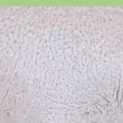 Mohito в Братске Иркутская область, Братск, Приморская, 51Б