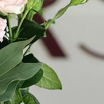 Marsala в Оренбурге Оренбургская область, Оренбург, Дорофеева, 5, 1 этаж