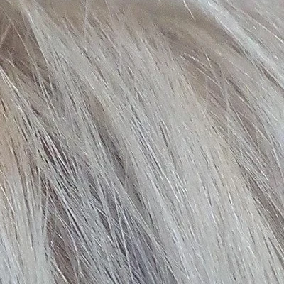 &