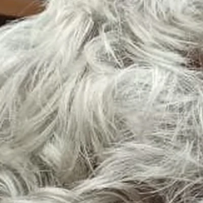 Идиллия в Анапе Краснодарский край, Анапа, Терская улица, 79, 1 этаж