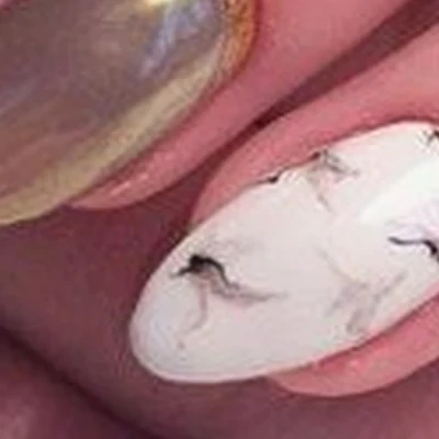 Space of beauty в Симферополе Россия, Республика Крым, Симферополь, улица Некрасова, 20