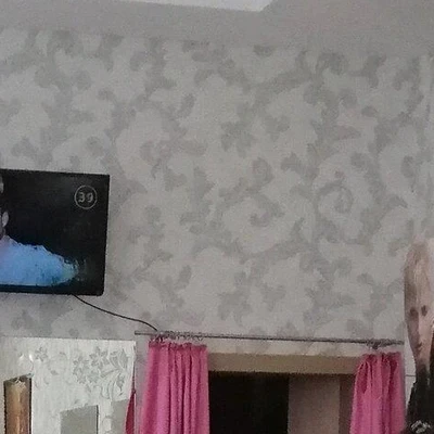 Стрекоза в Великий новгороде Новгородская область, Великий Новгород, проспект Мира, 40 к1