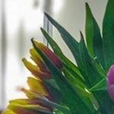 Мята в Бронницах Московская область, Бронницы, Красная улица, 81, 1.10; 1.12; 2.17 помещение; 1; 2 этаж