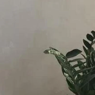 Махаон в Калуге Калужская область, Калуга, Московская, 315 к4, 1 этаж