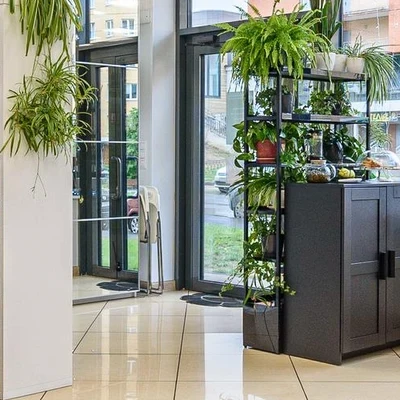 Студия красоты Ирины Молесон