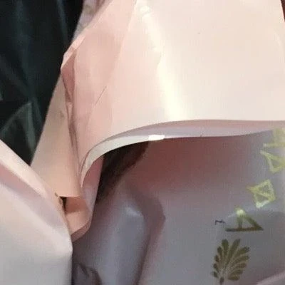 Мила в Никольске Ленинградская область, Никольское, Зелёная, 18, 1 этаж