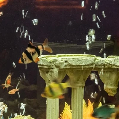 Соль+ в Новосибирске Россия, Новосибирск, улица Фрунзе, 71/1