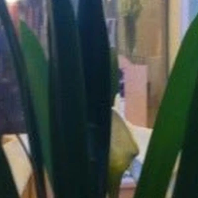 Очарование в Петрозаводске Республика Карелия, Петрозаводск, проспект Ленина, 3, цокольный этаж