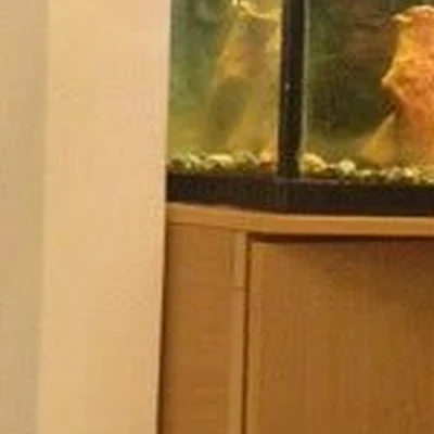 Нега в Шелехове Иркутская область, Шелехов, 4-й квартал, 21, 1 этаж